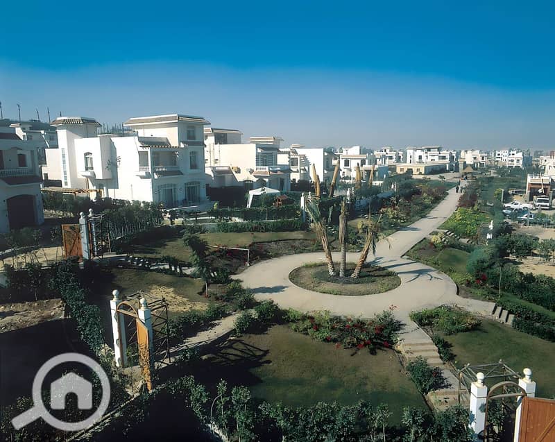 6 zayed2000-----. jpg