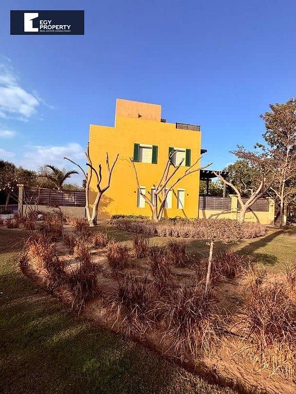 4 _files_27466858-2a9a-4873-a09f-542330d1e420. jpg