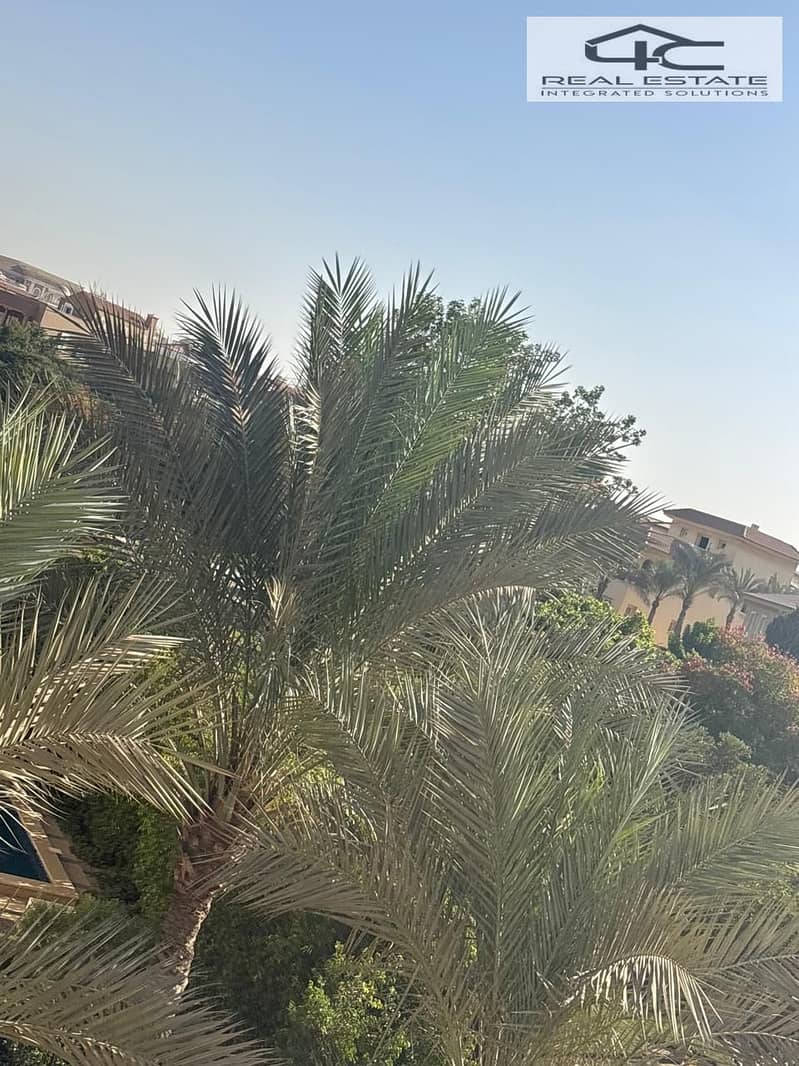 11 WhatsApp Image 2024-10-30 at 3.21. 34 PM. jpeg