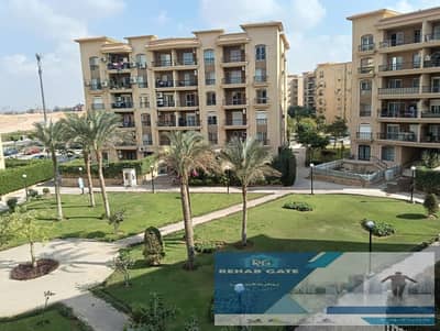 3 Bedroom Apartment for Rent in New Cairo, Cairo - 1f102e1c-79b3-4111-9d08-27b5a7d6950b. jpg 3 Bedroom Apartment for Rent in New Cairo, Cairo - 1f102e1c-79b3-4111-9d08-27b5a7d6950b. jpg