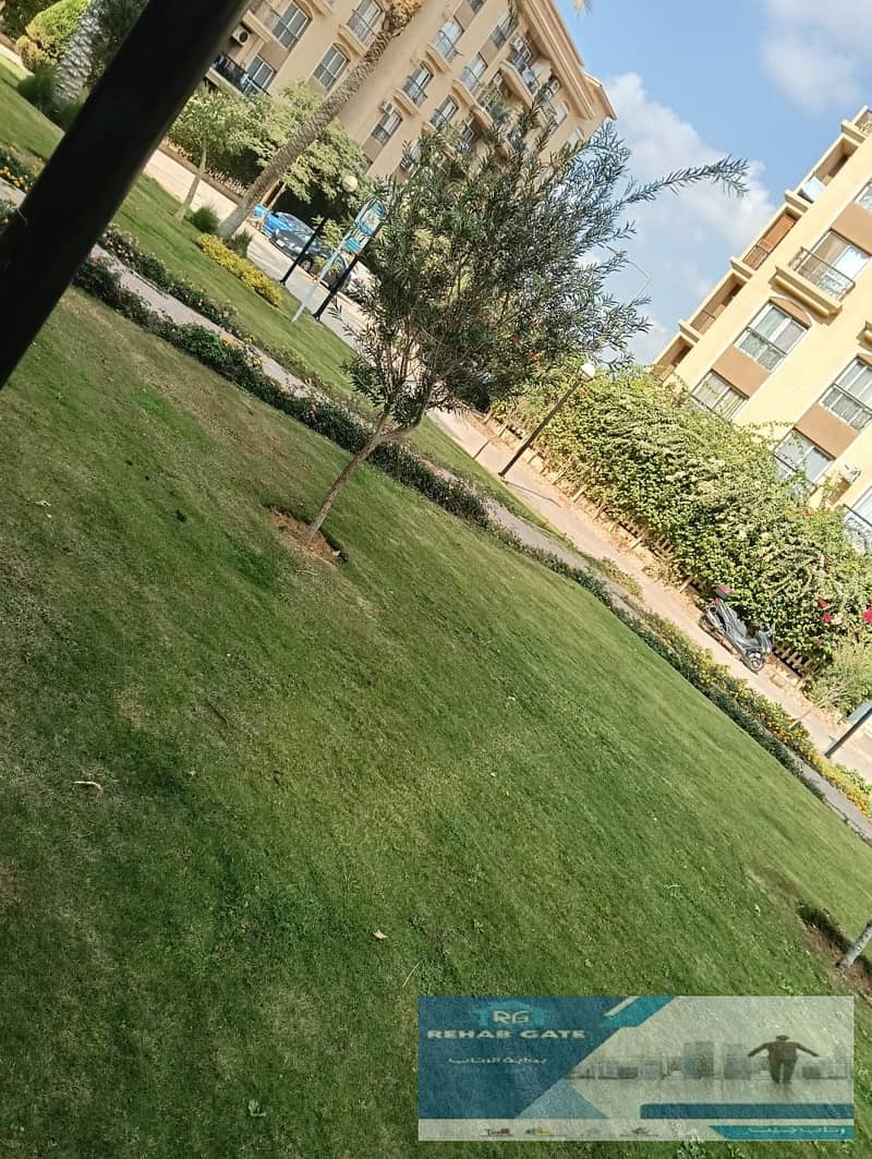 6 37212cd3-9826-40a3-979a-f0826c9c11fa. jpg