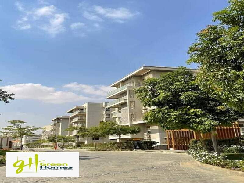 WhatsApp Image 2024-11-27 at 16.02. 22. jpeg WhatsApp Image 2024-11-27 at 16.02. 22. jpeg