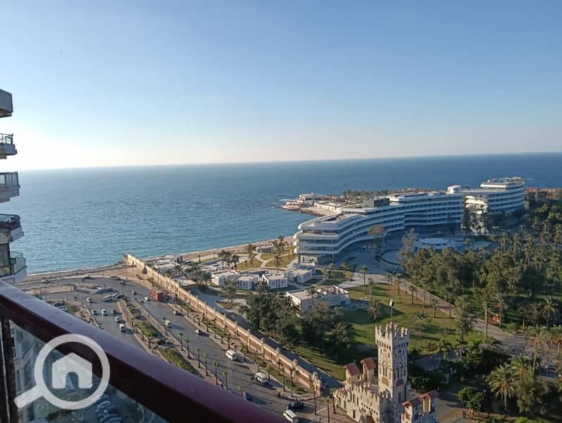 2 e3978657-a97f-4022-8365-0fb08aa16c11. jpg