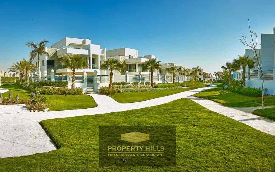 11 cb706a83-2f3f-454c-854f-d00afcce594a. jpg