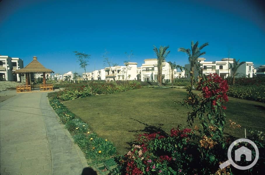 4 WhatsApp Image 2025-12-07 at 3.39. 48 PM. jpeg