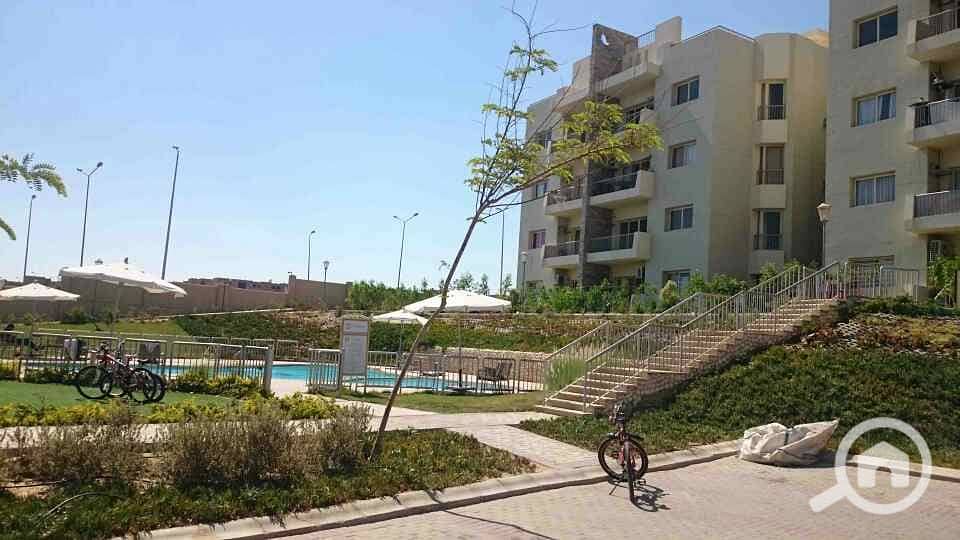 10 DSC_0011_resized_20170424_012955190. JPG