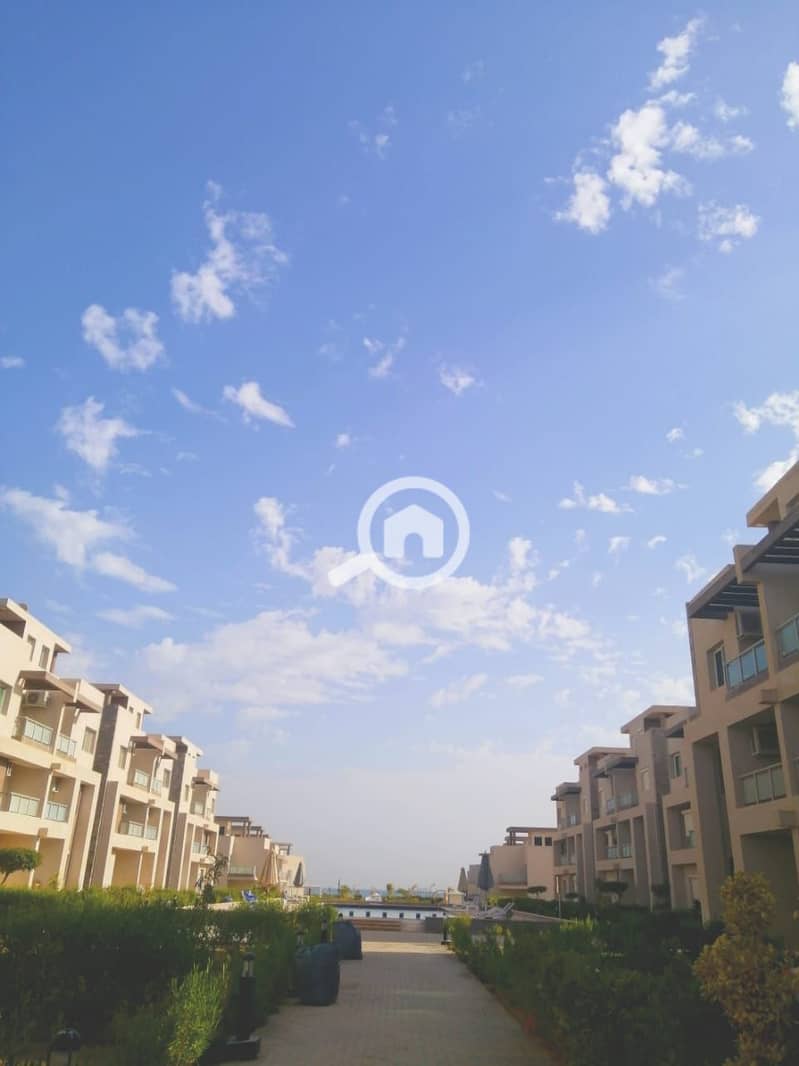 5 c31f862d-079e-4890-91d3-2bea32f0df41. jpg