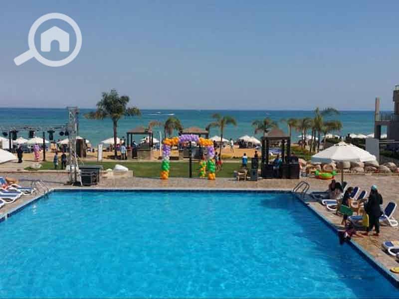 12 cde33c20-4f81-49ff-9ee9-be5e80be6873. jpg