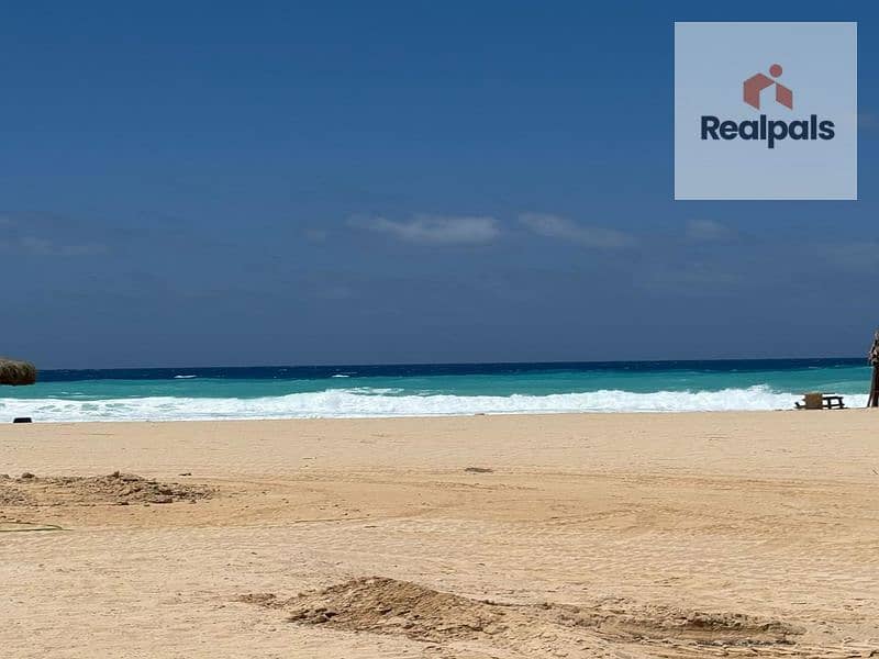 7 WhatsApp Image 2025-12-07 at 3.03. 35 PM (4)_800x600. jpg