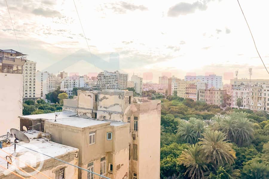 13 IMG-20251204-WA0051. jpg