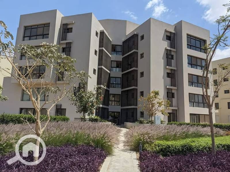 8 514316856_2848480665339957_8262751617839347874_n. jpg