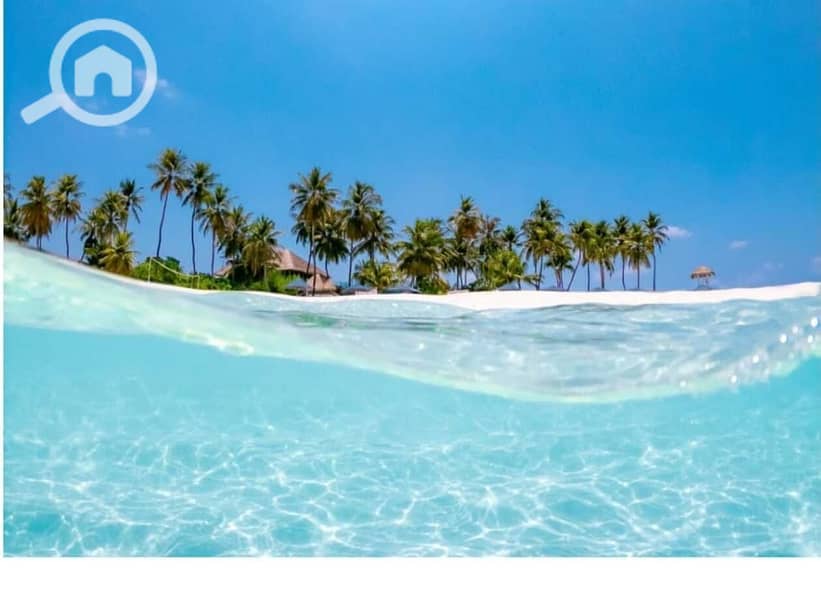 4 WhatsApp Image 2023-05-24 at 11.12. 25 AM. jpeg