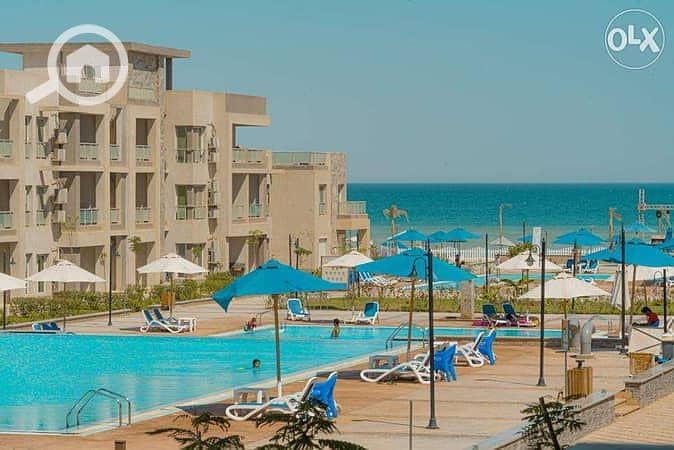 3 13848003-600x450. jpeg