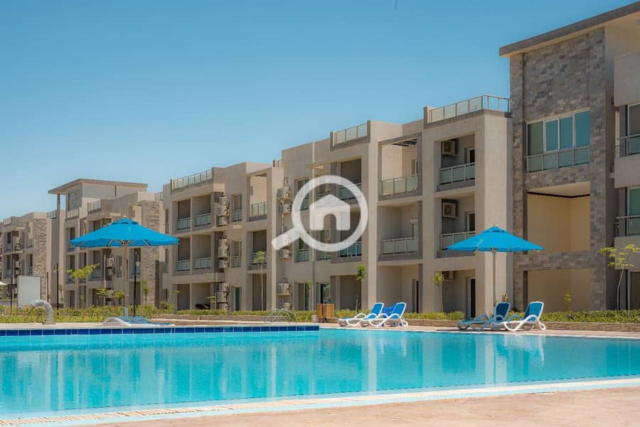 10 8f100861-040f-4c69-b222-2931e3ed9bfb. jpg