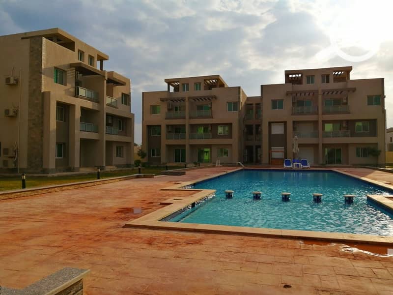 11 912a7334-21ae-4552-9efd-5424a153a473. jpg