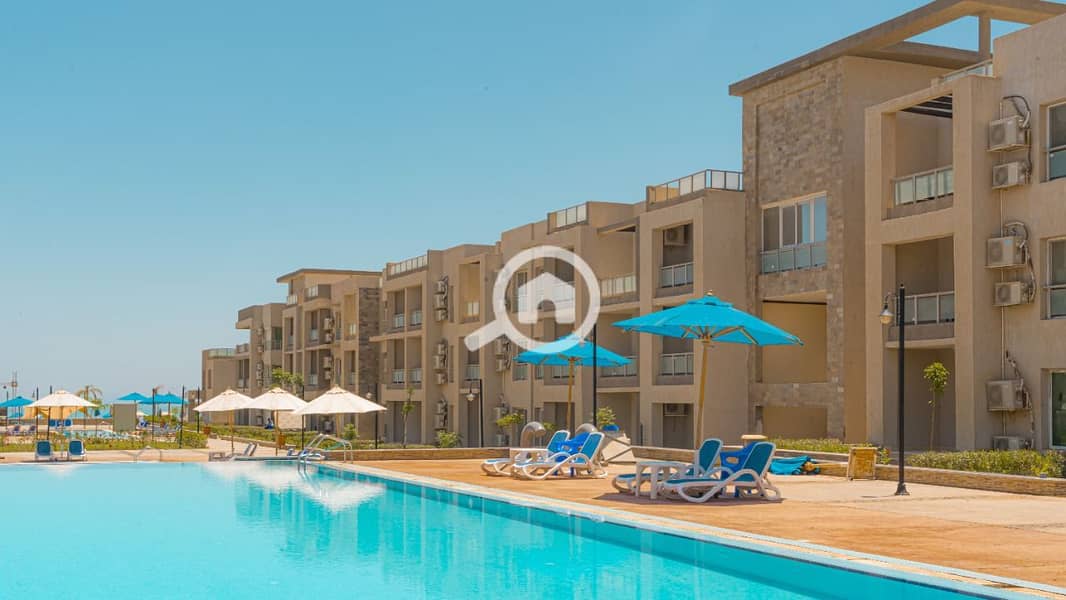 15 e302c06d-720d-4cb0-a4b9-46f8356880cb. jpg