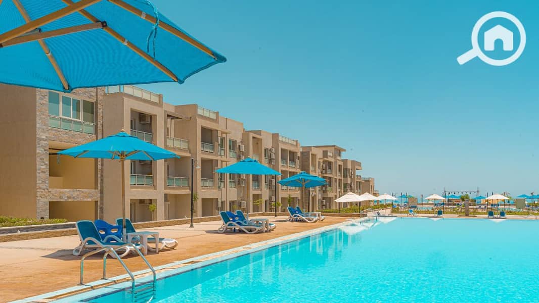 16 f21dfaf9-f9bd-43df-b9f3-04fd1fb1fe39. jpg