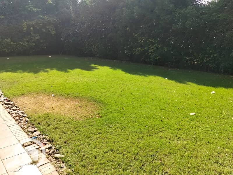 15 f83afaff-025e-4f17-926c-5f0beffed3c2. jpg