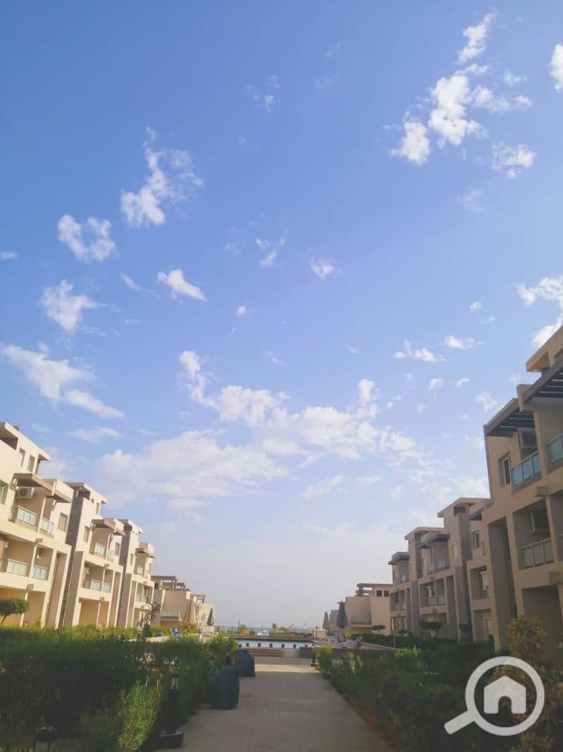 10 c31f862d-079e-4890-91d3-2bea32f0df41. jpg