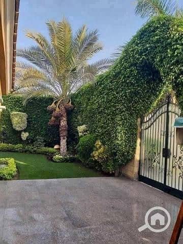 15 ec3cbf16-eec7-42d2-bad3-e117954fdf6b. jfif. jpg