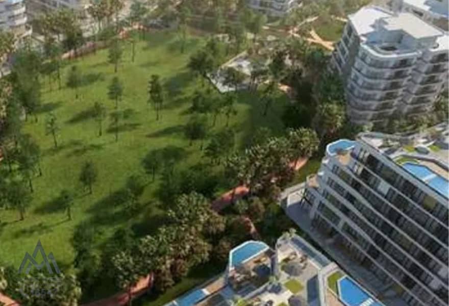 10 546c5f50-e06e-4a71-979e-b98a797f5cdd. jpg