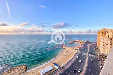 3 Bedroom Flat for Sale in Asafra, Alexandria - IMG-20251204-WA0004. jpg 3 Bedroom Flat for Sale in Asafra, Alexandria - IMG-20251204-WA0004. jpg