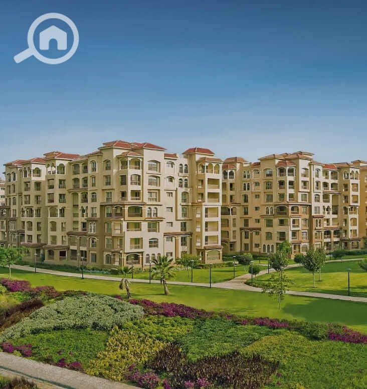 7 Rectangle-528-1. jpg