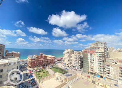 فلیٹ 3 غرف نوم للايجار في الأزاريطة، الإسكندرية - bdd1cfa3-343a-4476-9ef2-7e9151273948. jpg