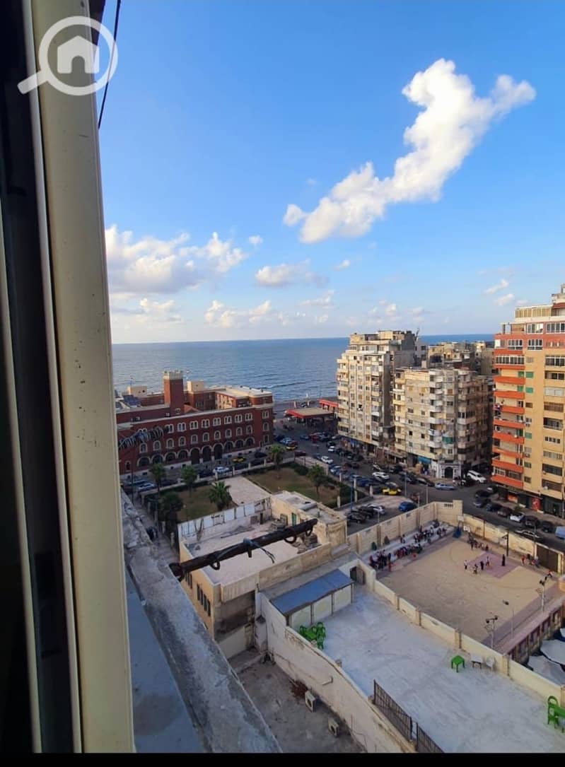 3 dcca4d95-ba6c-4043-8955-da7d2353fec0. jpg