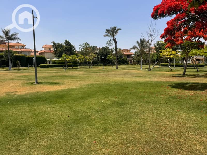 14 20f4d50a-6222-4038-badf-0db5673390ae. jpeg