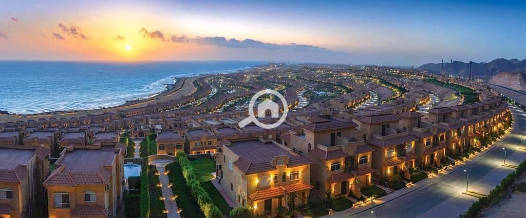 6 photo_2025-02-26_02-25-25. jpg