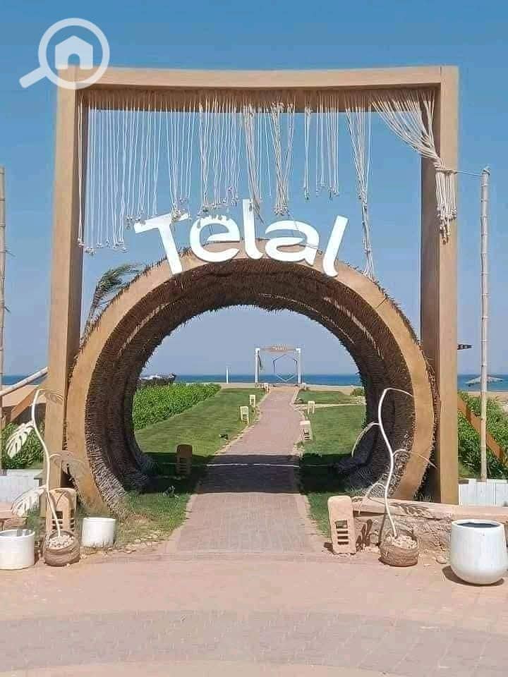 8 475397539_122267136662000490_5964941749966608024_n. jpg