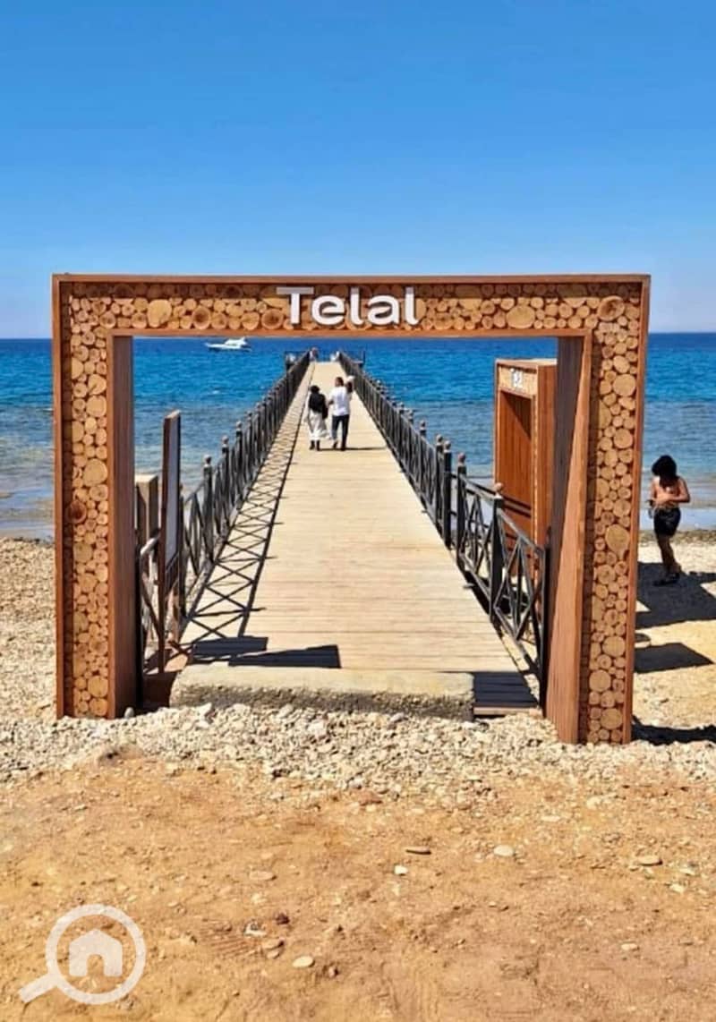 9 475868013_499917323142114_4784536000031516036_n. jpg