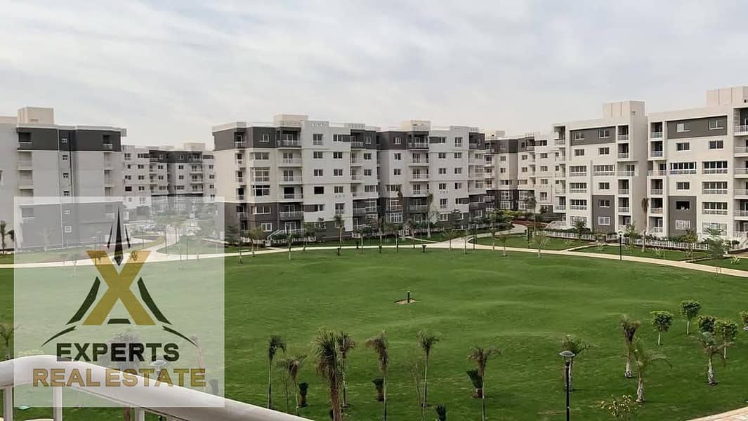 2 WhatsApp Image 2025-05-06 at 12.39. 31 PM. jpeg