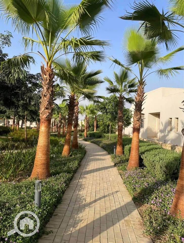 4 524981542_1180386117461485_2144514638248112755_n. jpg