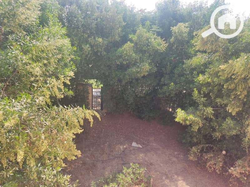 10 cb54f6df-97be-47a8-8fa8-6e05d0538268. jpg