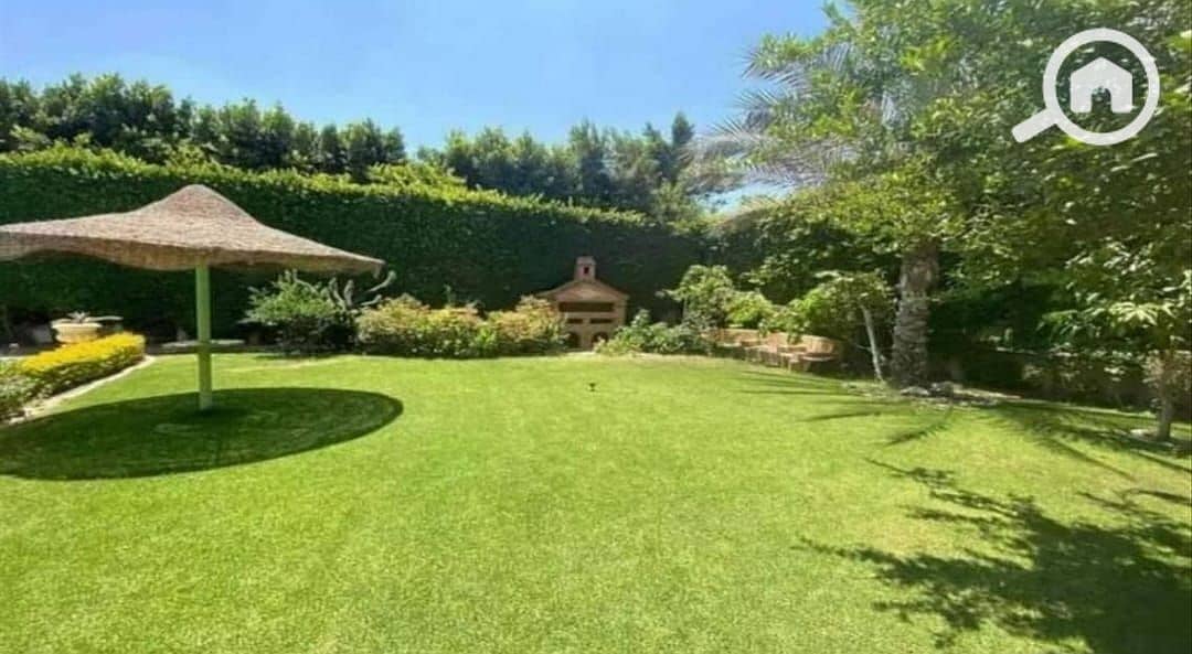 5 WhatsApp Image 2024-07-17 at 1.59. 00 PM (1). jpeg