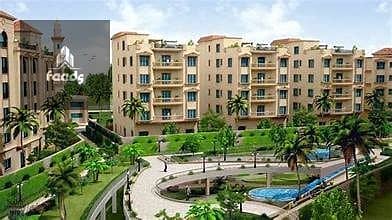 2 WhatsApp Image 2025-12-07 at 4.35. 51 PM. jpeg