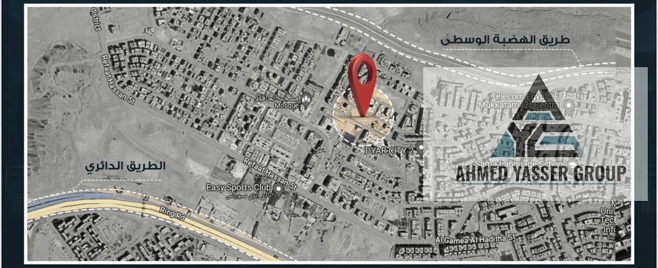 IMG_3317. jpeg IMG_3317. jpeg