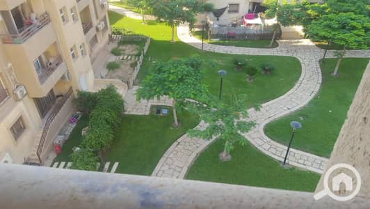 3 Bedroom Apartment for Rent in Madinaty, Cairo - cceb106d-0681-47e0-8cf0-7e0a3168885c. jpg 3 Bedroom Apartment for Rent in Madinaty, Cairo - cceb106d-0681-47e0-8cf0-7e0a3168885c. jpg