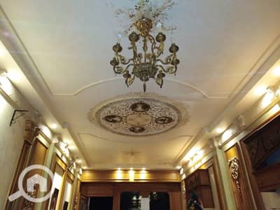 Retail for Sale in Smoha, Alexandria - 15351c25-bfce-45b0-9062-91e855b6d4a7. jpg Retail for Sale in Smoha, Alexandria - 15351c25-bfce-45b0-9062-91e855b6d4a7. jpg