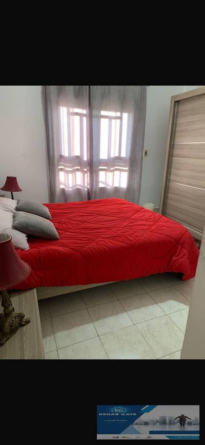 2 Bedroom Flat for Rent in New Cairo, Cairo - WhatsApp Image 2025-12-07 at 02.57. 42 (6). jpeg