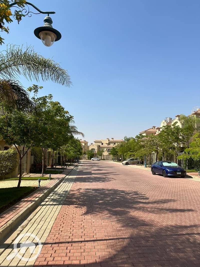 9 photo_2025-02-26_06-34-25. jpg