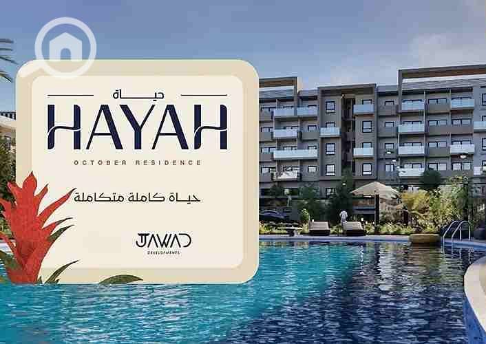 4 WhatsApp Image 2025-10-20 at 4.16. 09 PM (3). jpeg