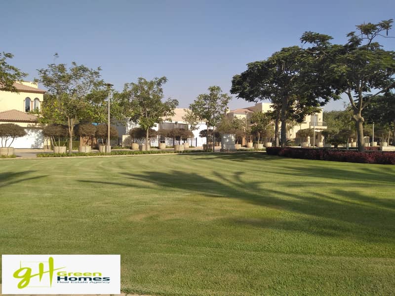 4 IMG_20200727_155834. jpg