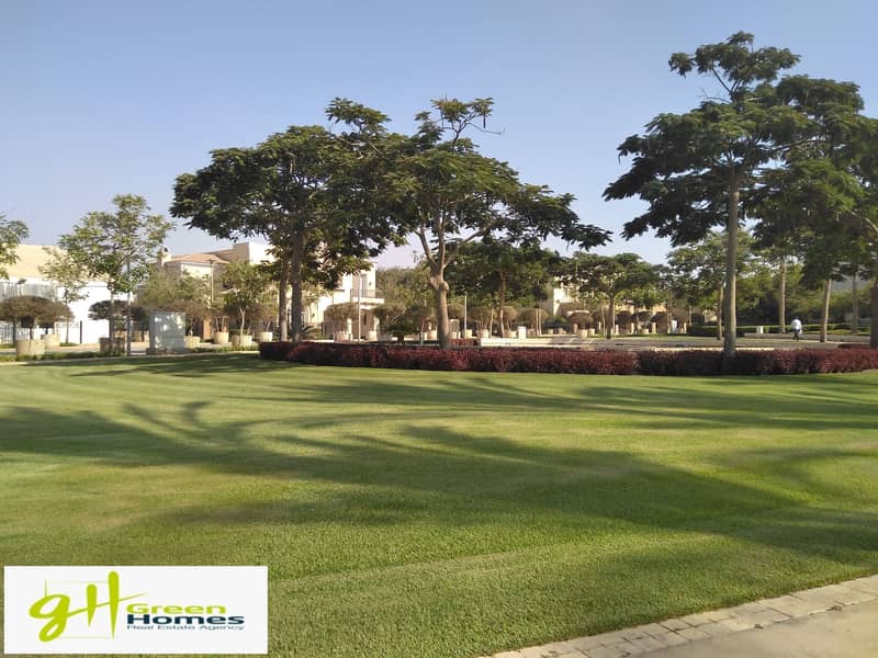 5 IMG_20200727_155837. jpg