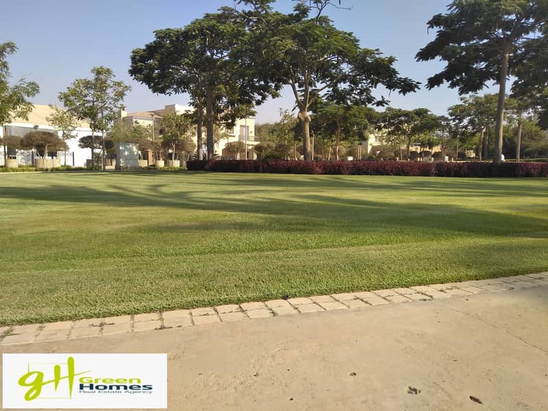 6 IMG_20200727_155841. jpg