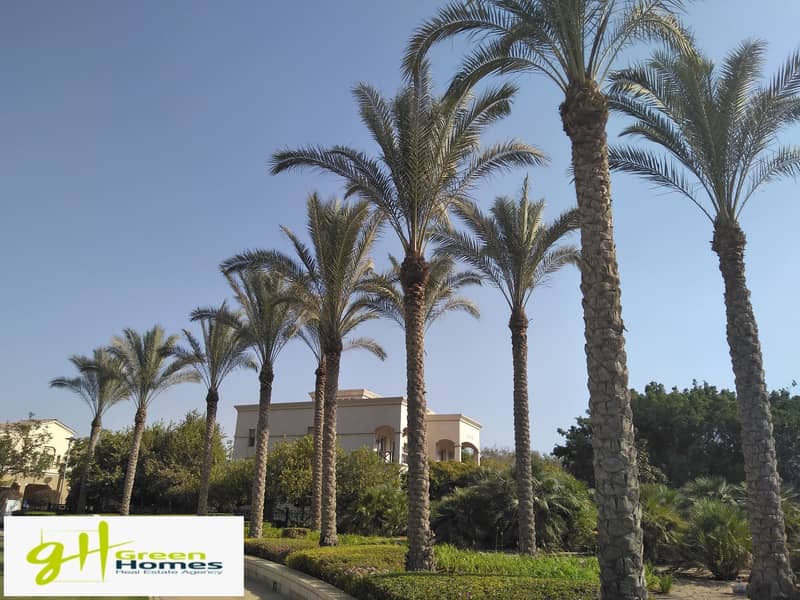 7 IMG_20200727_155922. jpg