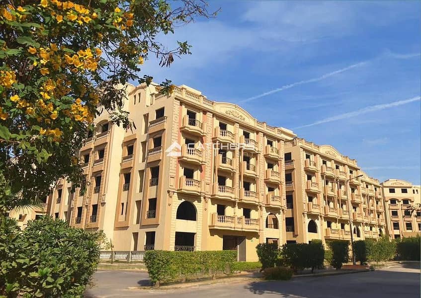 3 513732041_1451505149342238_6994667293110741385_n. jpg