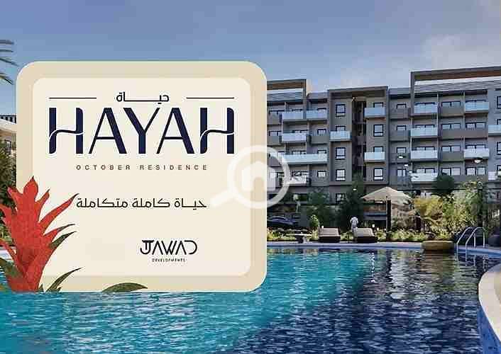 9 WhatsApp Image 2025-10-20 at 4.16. 09 PM (3). jpeg